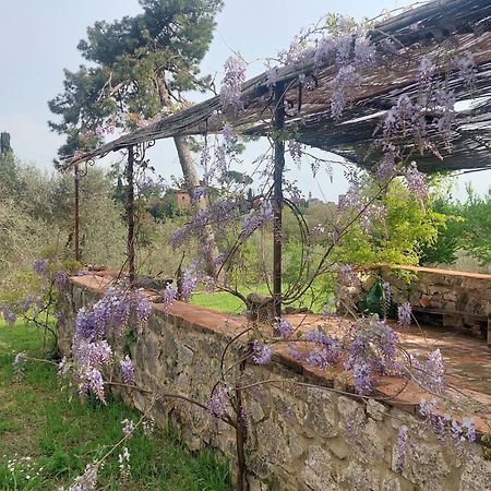 Casa Ezio Marchi - Due Appartamenti E Una Family Suite Bettolle Exterior foto