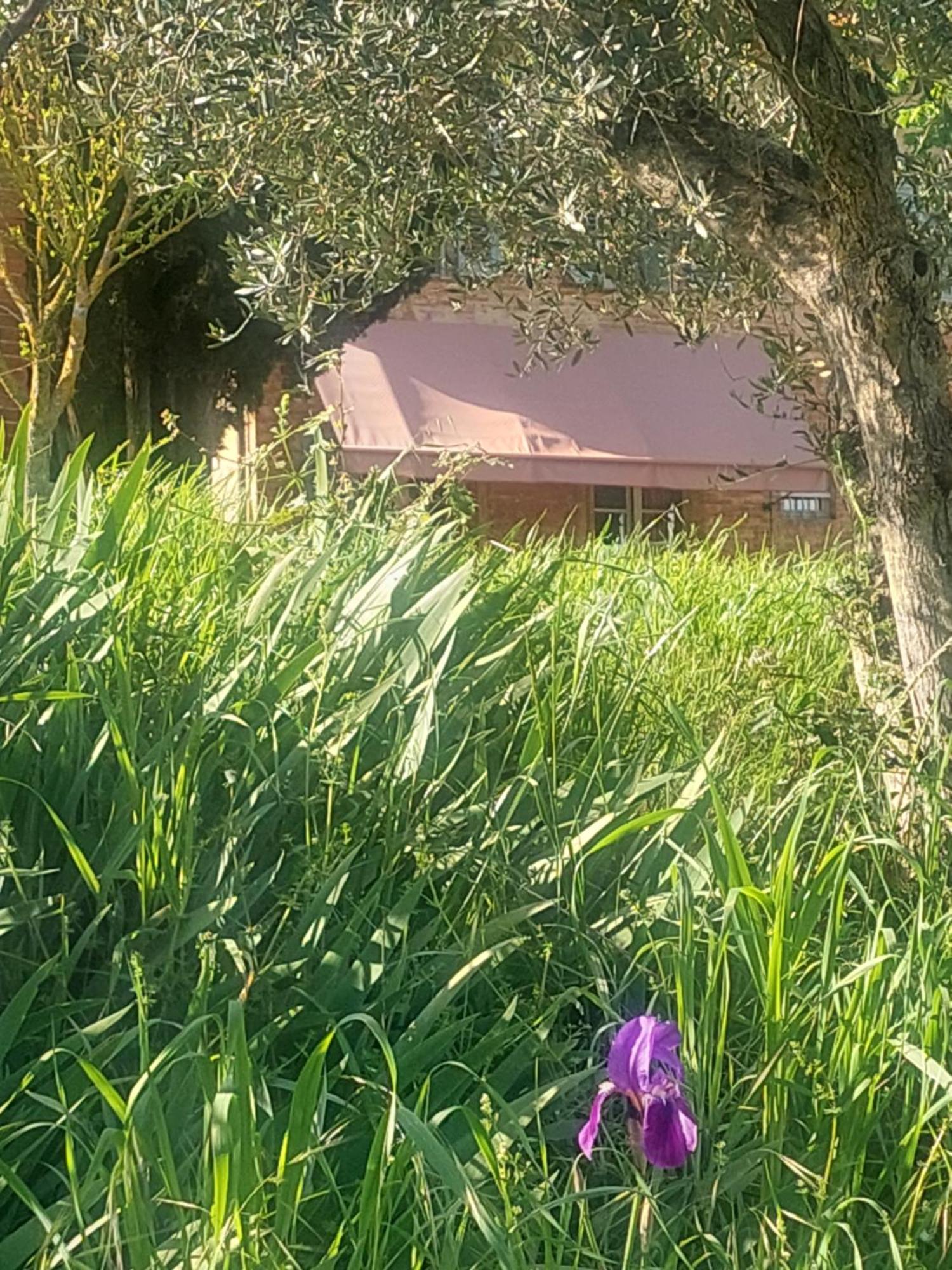 Casa Ezio Marchi - Due Appartamenti E Una Family Suite Bettolle Exterior foto